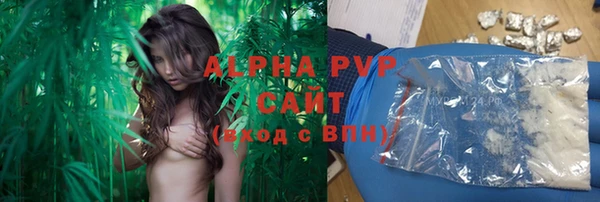 PSILOCYBIN Абдулино